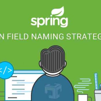 Change Gson field naming strategy in Spring